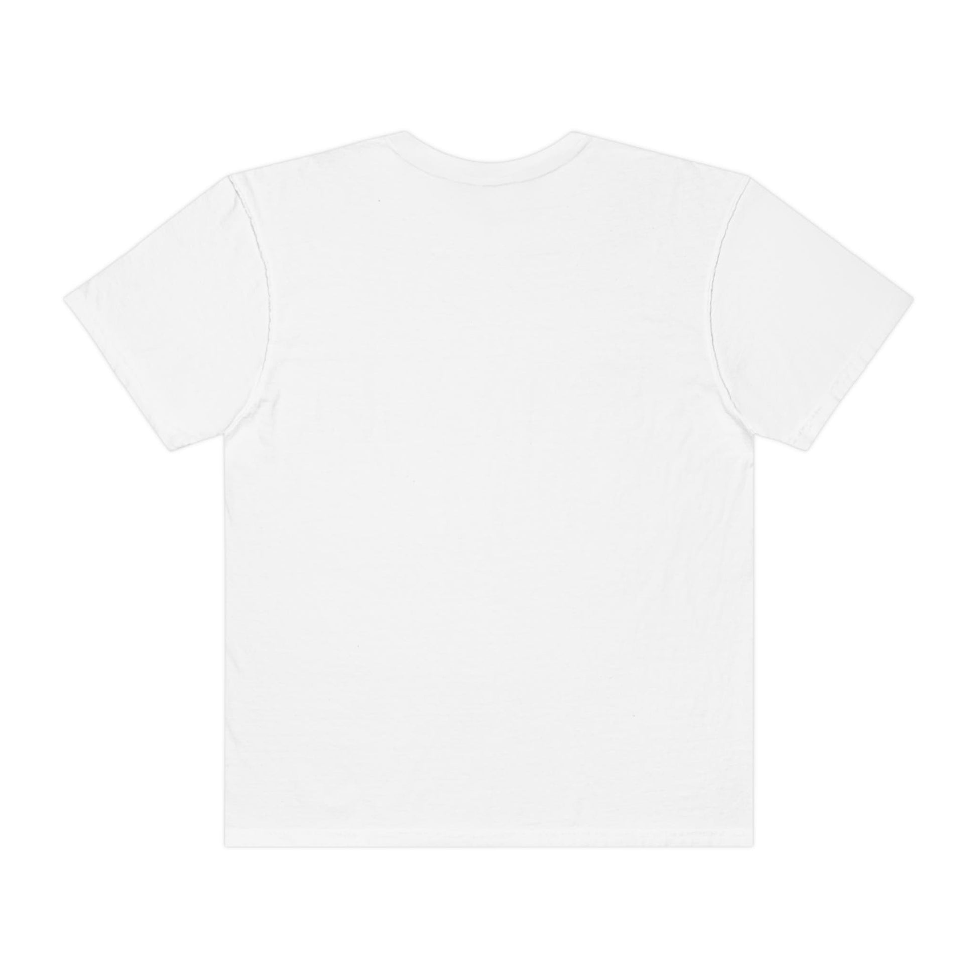 Cinque Terre Italy Shirt, Comfort Colors® Unisex Plus Size