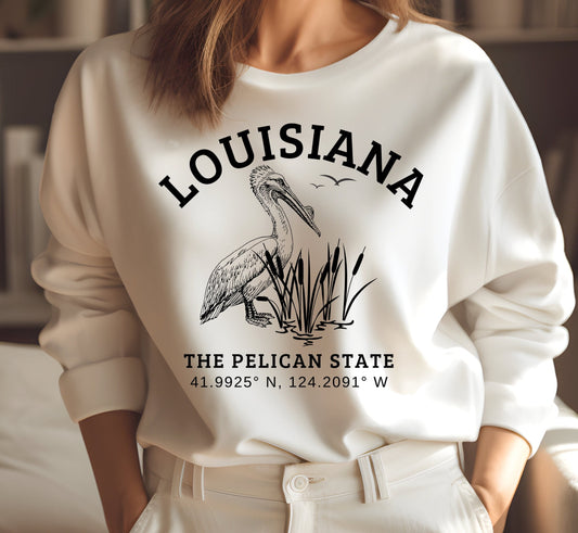 Louisiana Sweatshirt New Orleans Crewneck Pelican State Pullover Unisex Plus Size