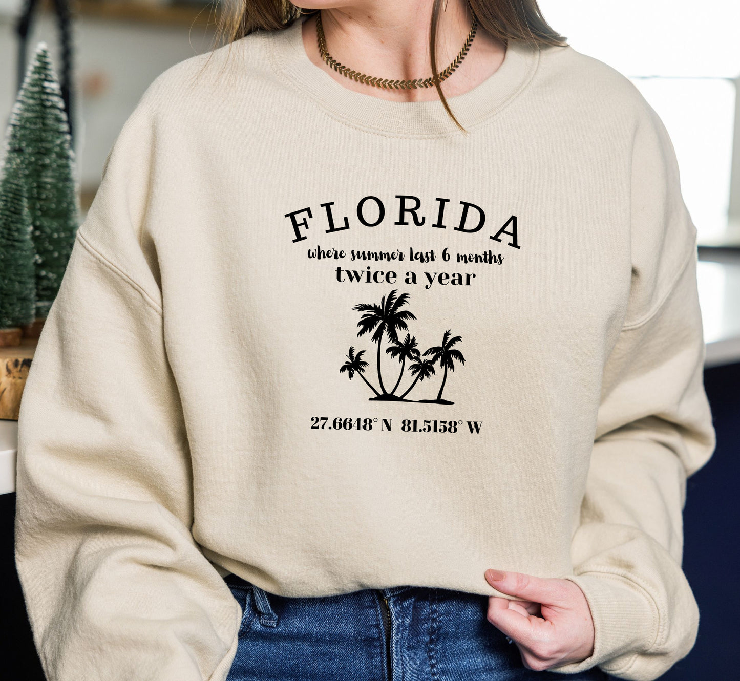 Florida Sweatshirt: Summer All Year, Unisex Long Sleeve