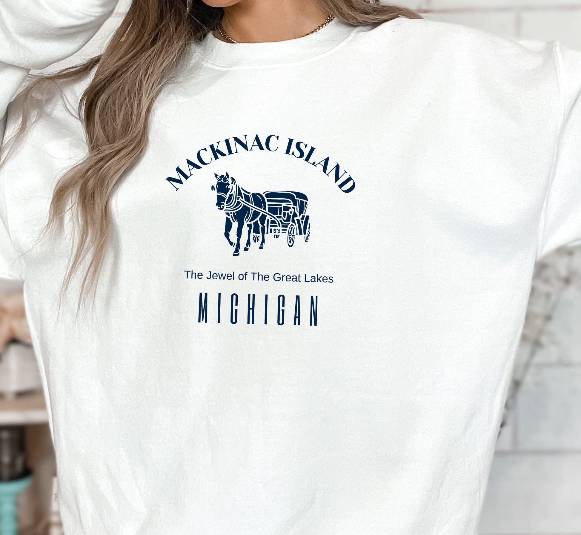 Mackinac Island Michigan Sweatshirt, Vintage Hometown Souvenir