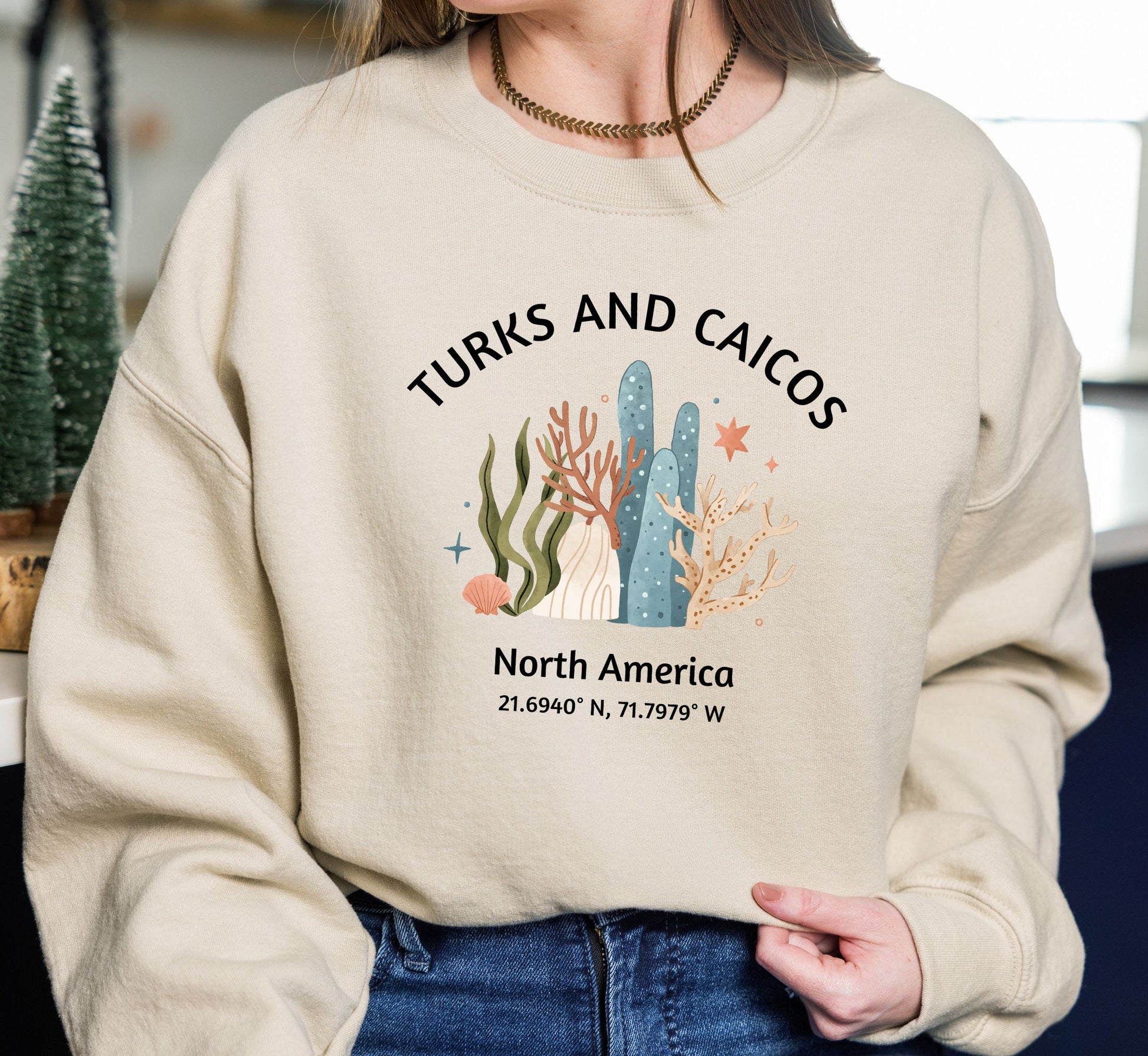 Turks and Caicos Sweatshirt: Coral Graphic Beach Crewneck