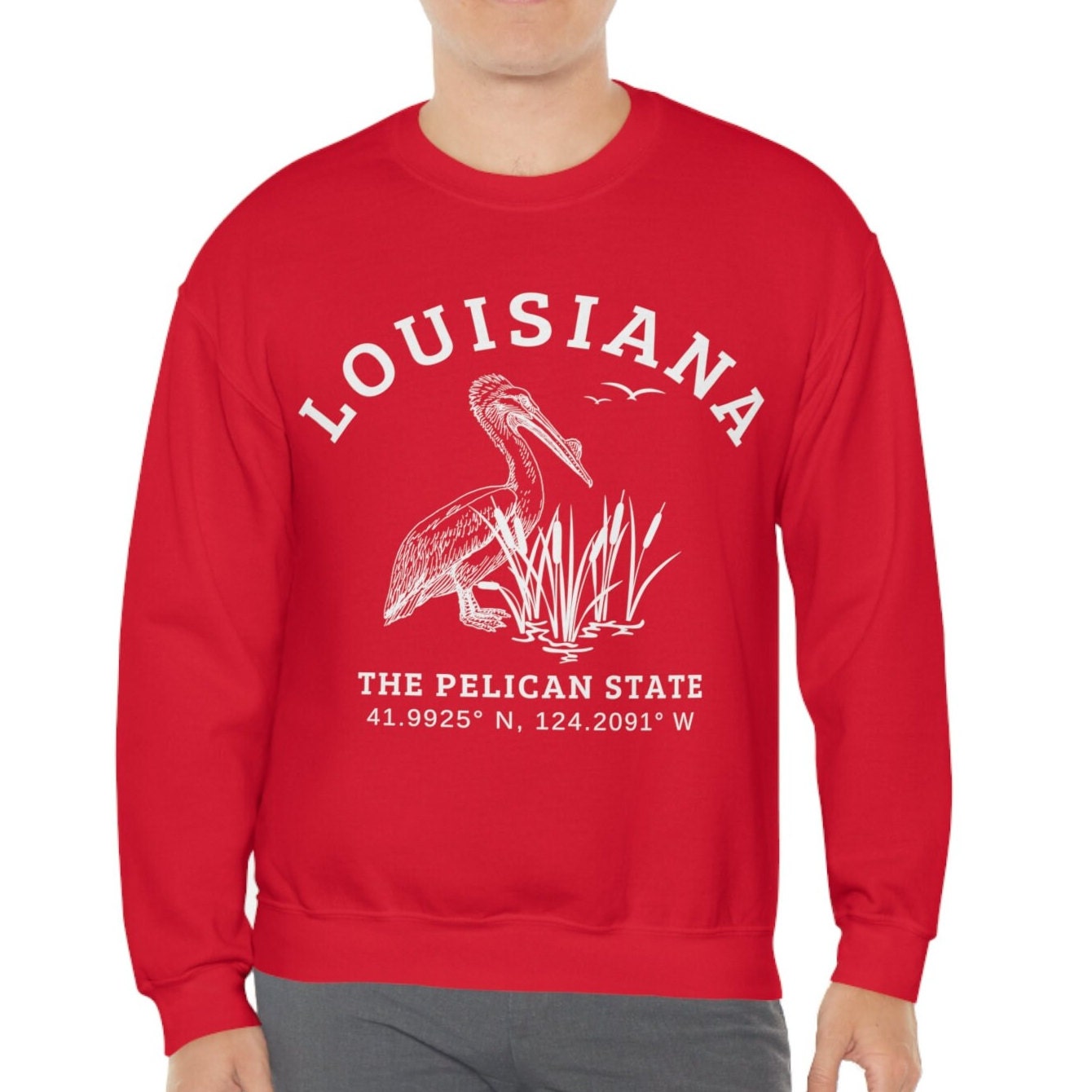 Louisiana Sweatshirt New Orleans Crewneck Pelican State Pullover Unisex Plus Size