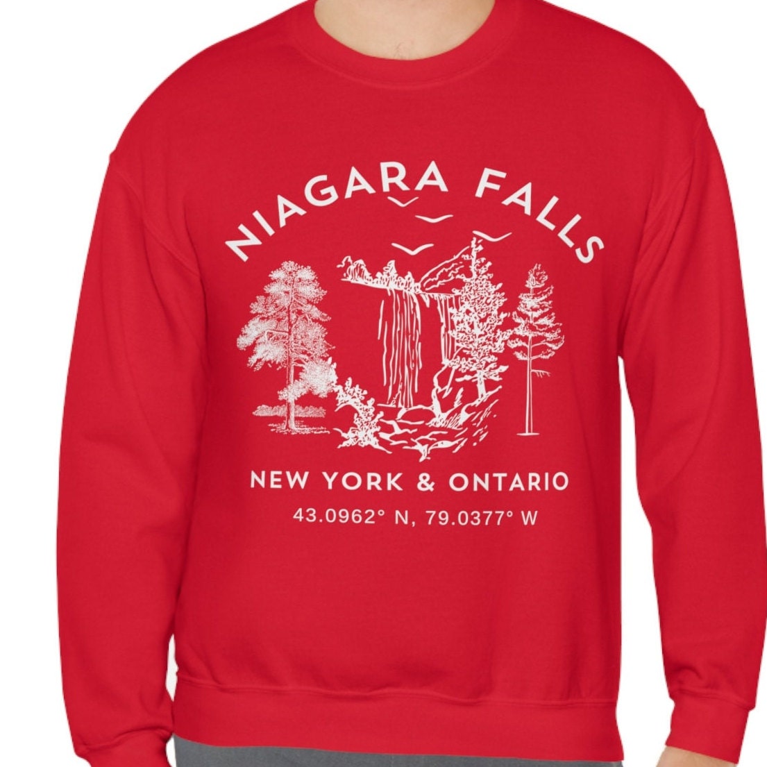 Niagara Falls Sweatshirt New York Ontario Sweater Canada Souvenir Pullover, Cozy Travel Gift