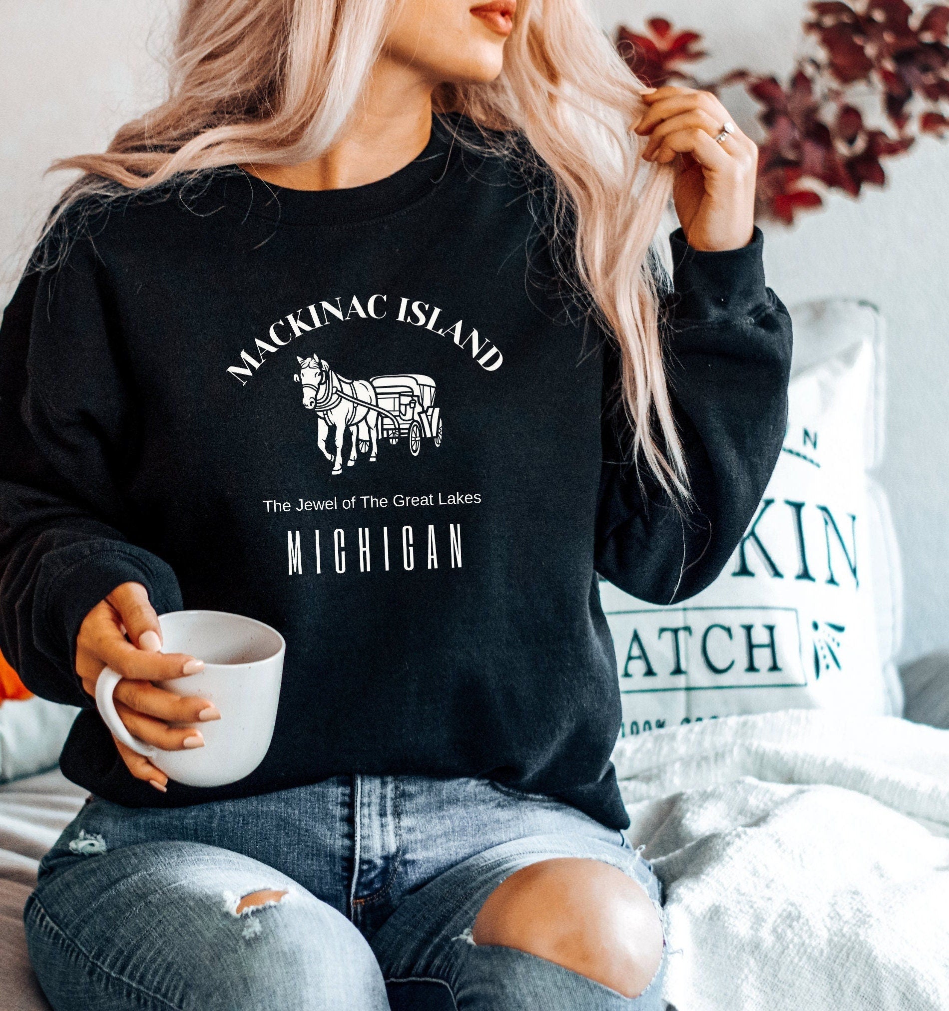 Mackinac Island Michigan Sweatshirt, Vintage Hometown Souvenir