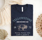 Yellowstone Bison Graphic Tee: Vintage National Park Shirt