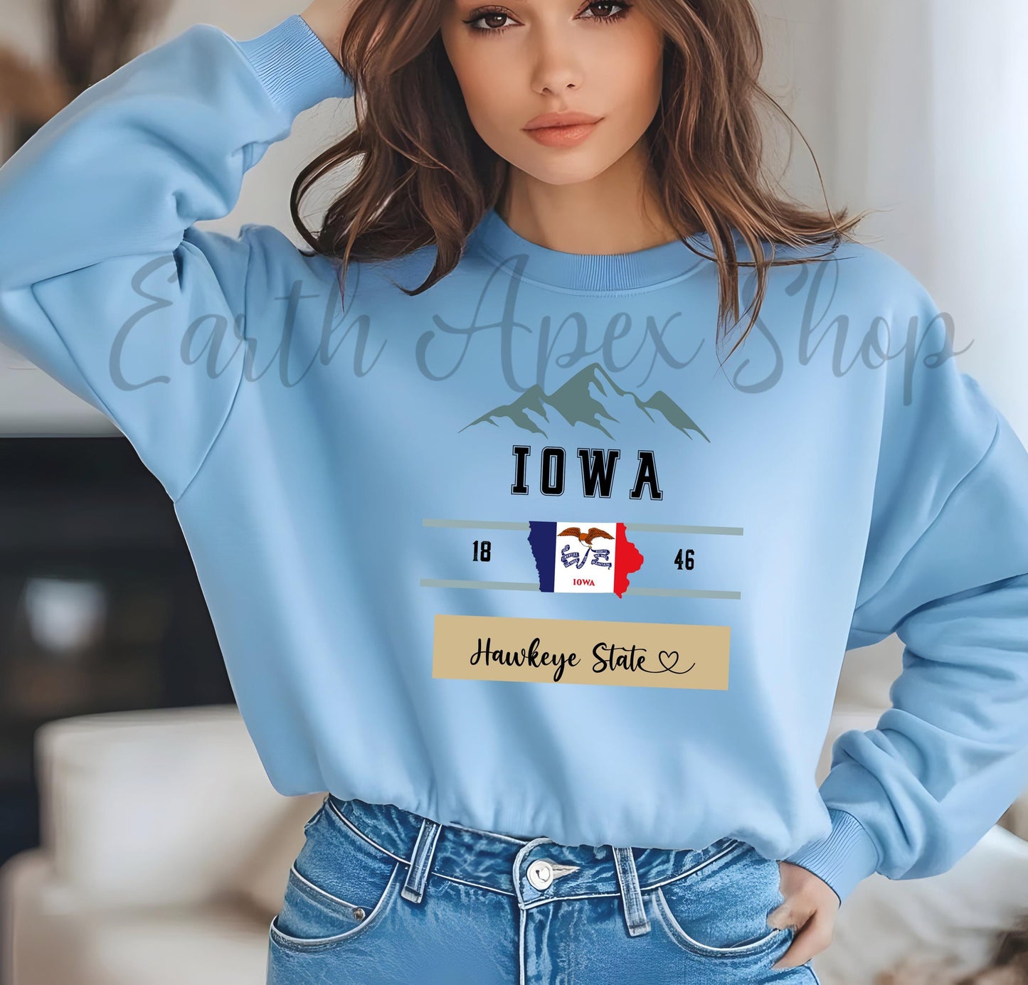 Retro Iowa Sweatshirt: Hawkeye State Crewneck, Midwest College Pullover