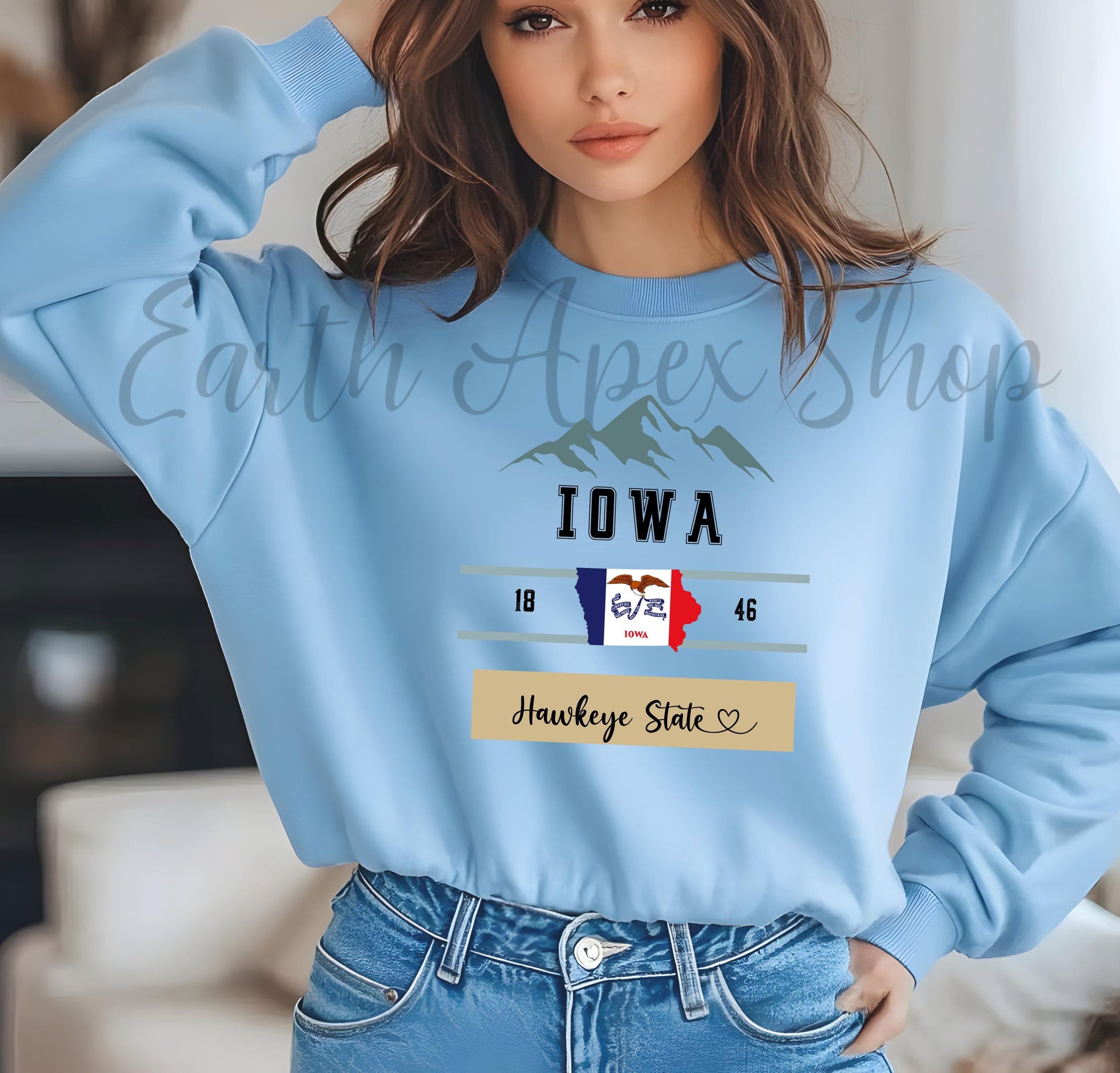 Retro Iowa Sweatshirt: Hawkeye State Crewneck, Midwest College Pullover