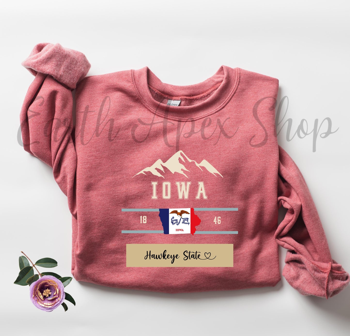 Retro Iowa Sweatshirt: Hawkeye State Crewneck, Midwest College Pullover