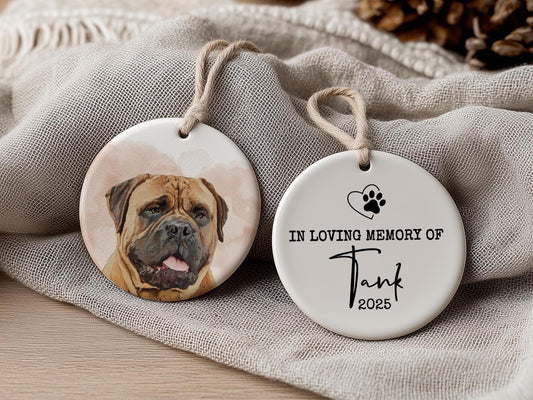 Pet Photo Ornament Memorial Gift for Dog Lover Cat Loss Memory Ornament Horse