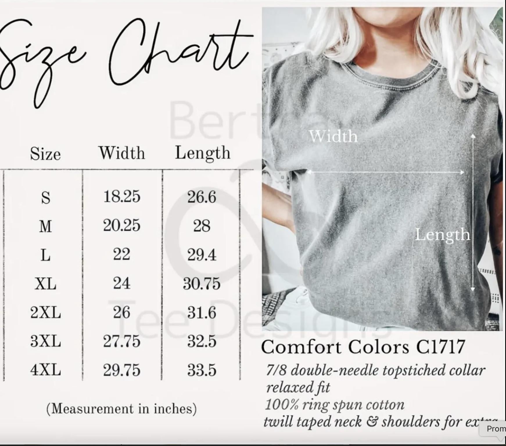 Goose Shirt, Kindness Perseverance T-Shirt, Cottagecore Comfort Colors Tee